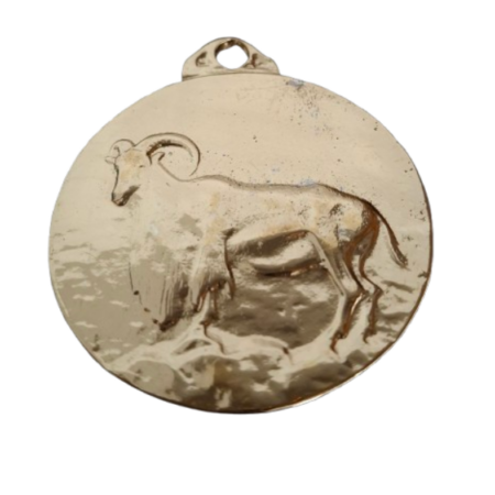 Medallas Homologación Arruí