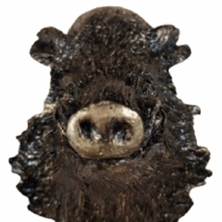 Cabeza de jabalí