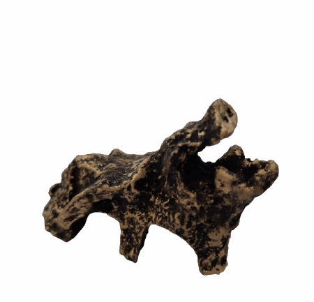 Cabeza de jabalí pequeña
