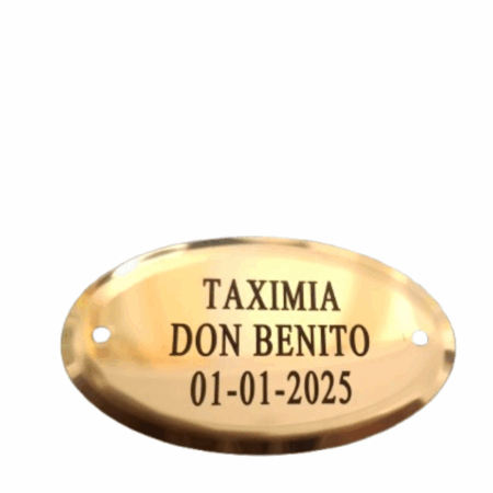 CHAPA GRABADA Brillo  DE 6 X 3,7 "INCLUYE CLAVITOS"