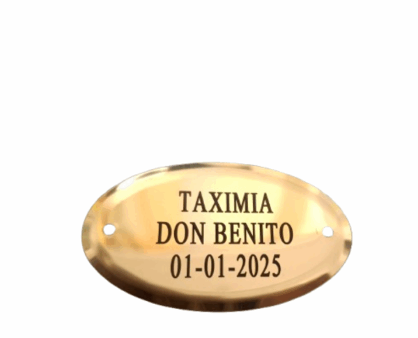 CHAPA GRABADA Brillo  DE 6 X 3,7 "INCLUYE CLAVITOS"
