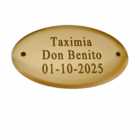 Chapa grabada satinada  de 5 X 3 cm "incluye clavitos"