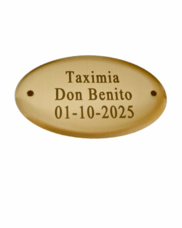 Chapa grabada satinada  de 5 X 3 cm "incluye clavitos"